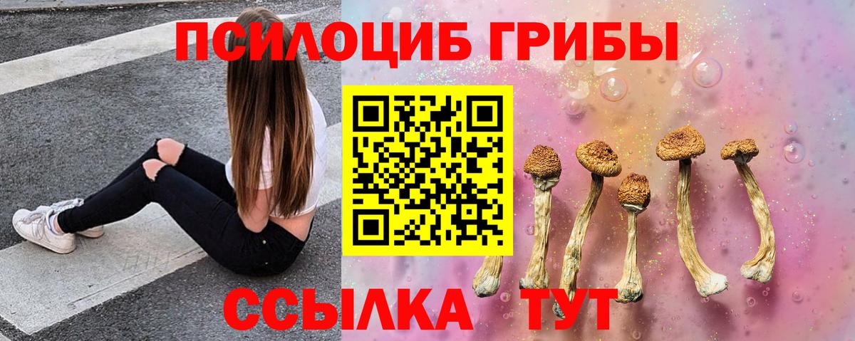 наркотики  Псилоцибиновые грибы мухоморы  Вход с VPN  Кропоткин 