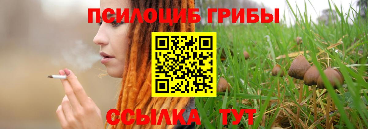 Псилоцибиновые грибы Cubensis Кропоткин
